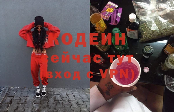 эйфоретик Арсеньев