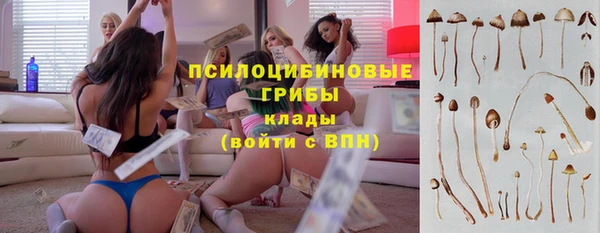 шишки Алексин