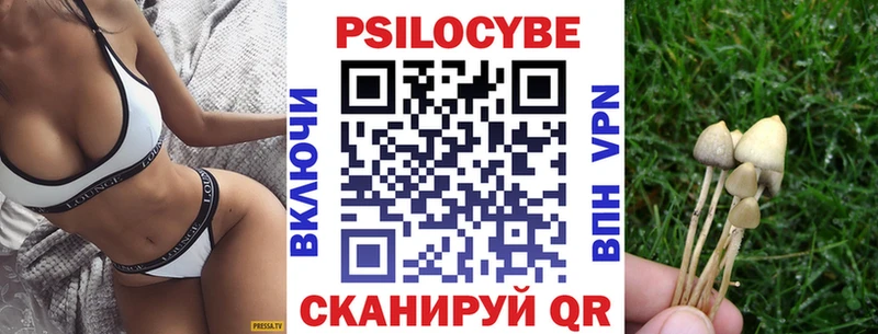 Псилоцибиновые грибы Psilocybe гидра зеркало Холм